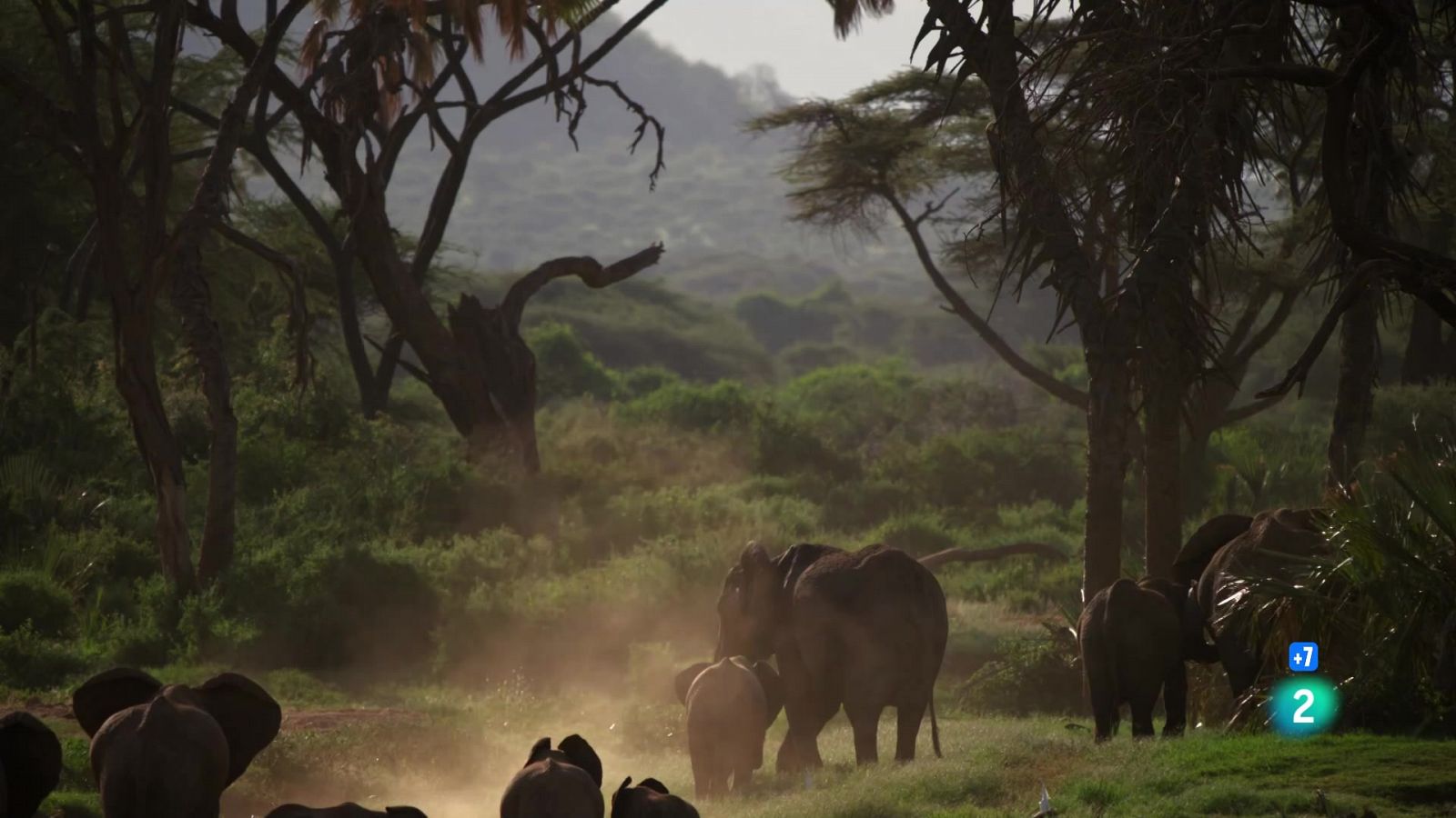 Grans documentals - Perseguint la pluja: El riu inconstant - Veure ara