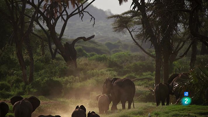 Som Documentals - Perseguint la pluja: El riu inconstant