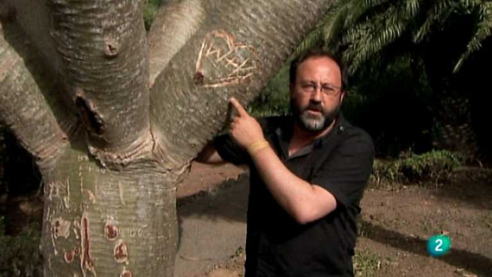 Biodiario - 27/12/12 - ver ahora