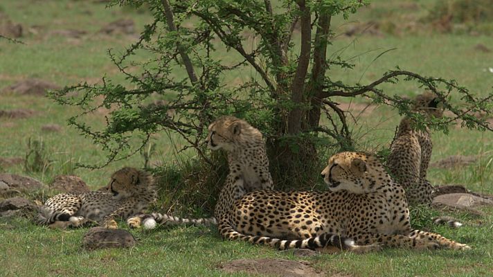 Persiguiendo la lluvia - Sangre y polvo