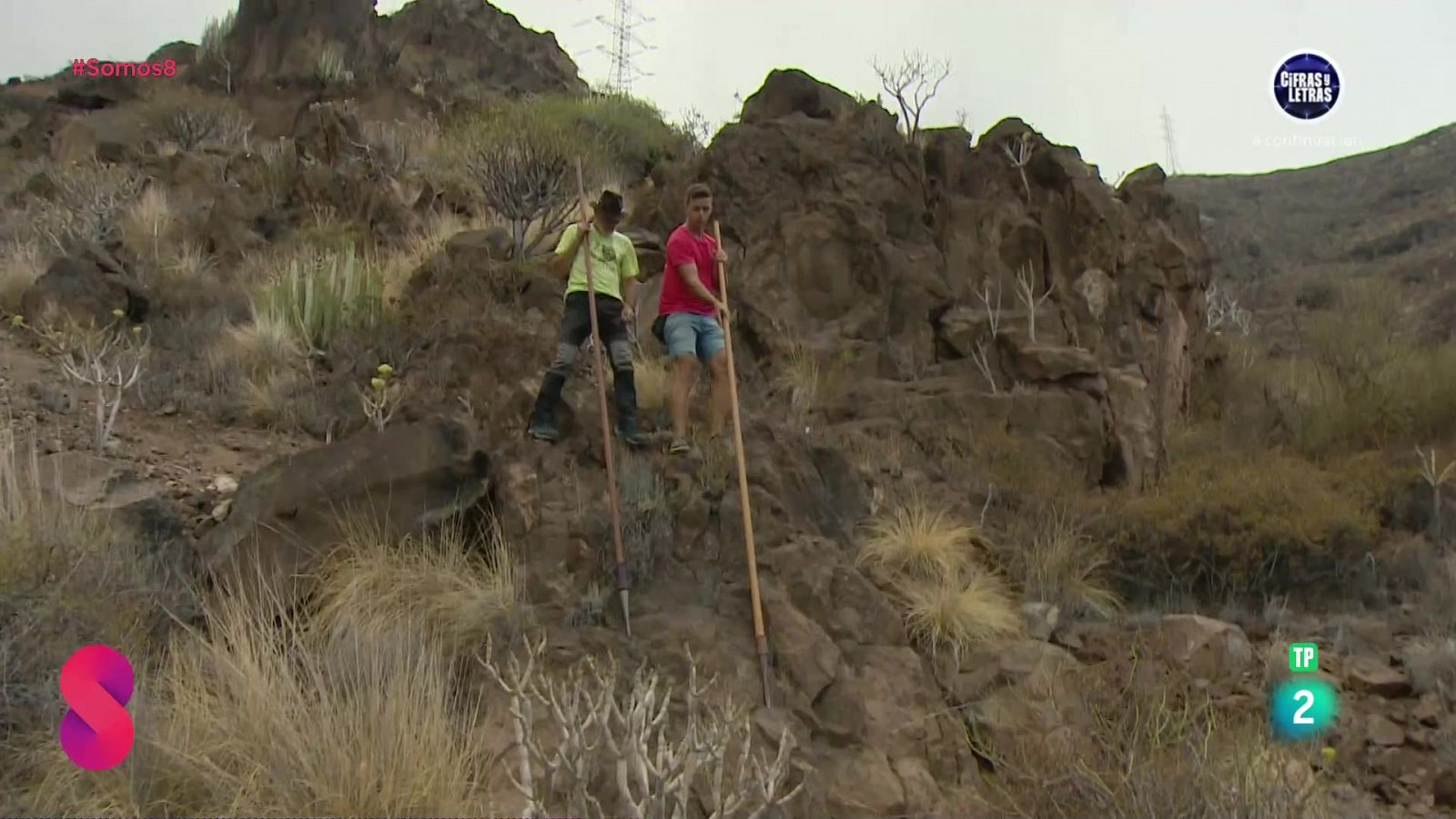 Somos 8 - 03/10/2024 - Somos 8 | Ver