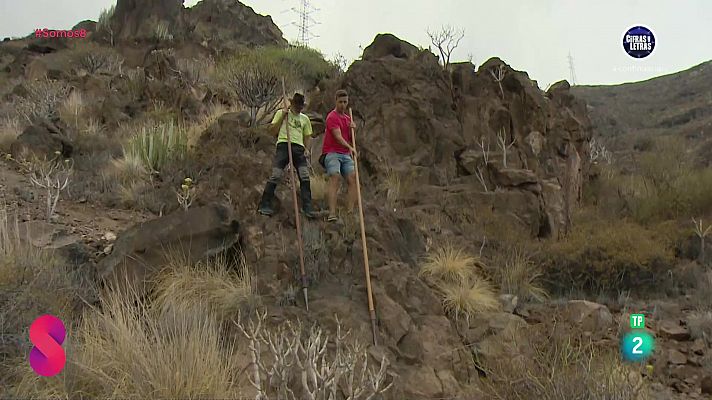 Somos 8 - Somos 8 - 03/10/2024