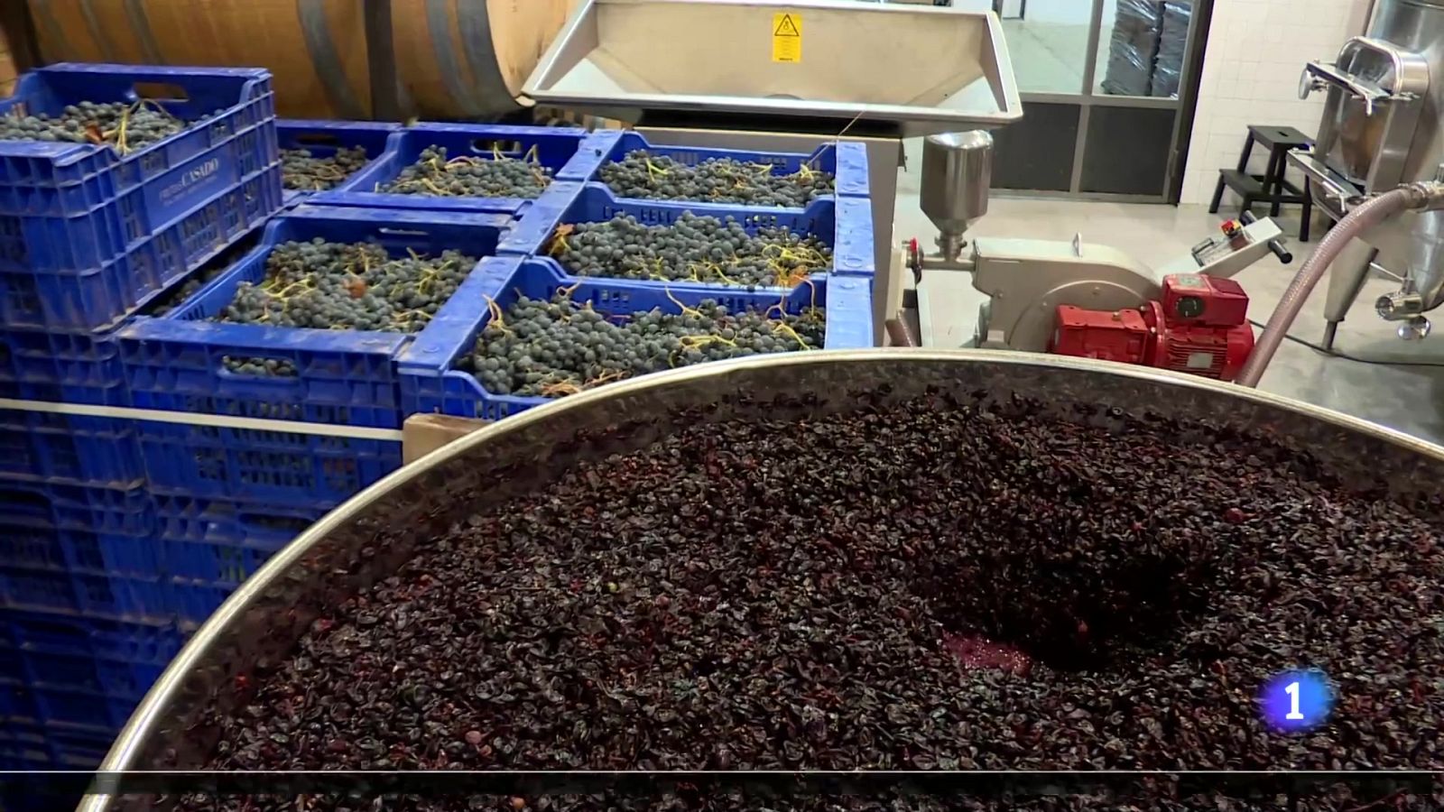 Telerioja en 2' - 04-10-2024 | Ver