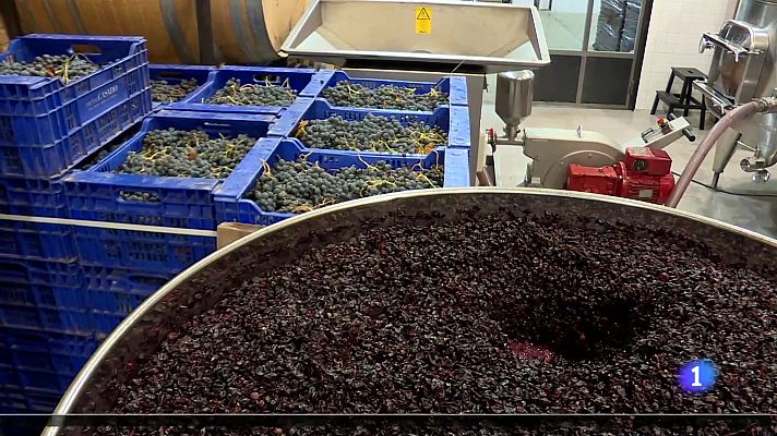 Informativo Telerioja - Telerioja en 2' - 04-10-2024