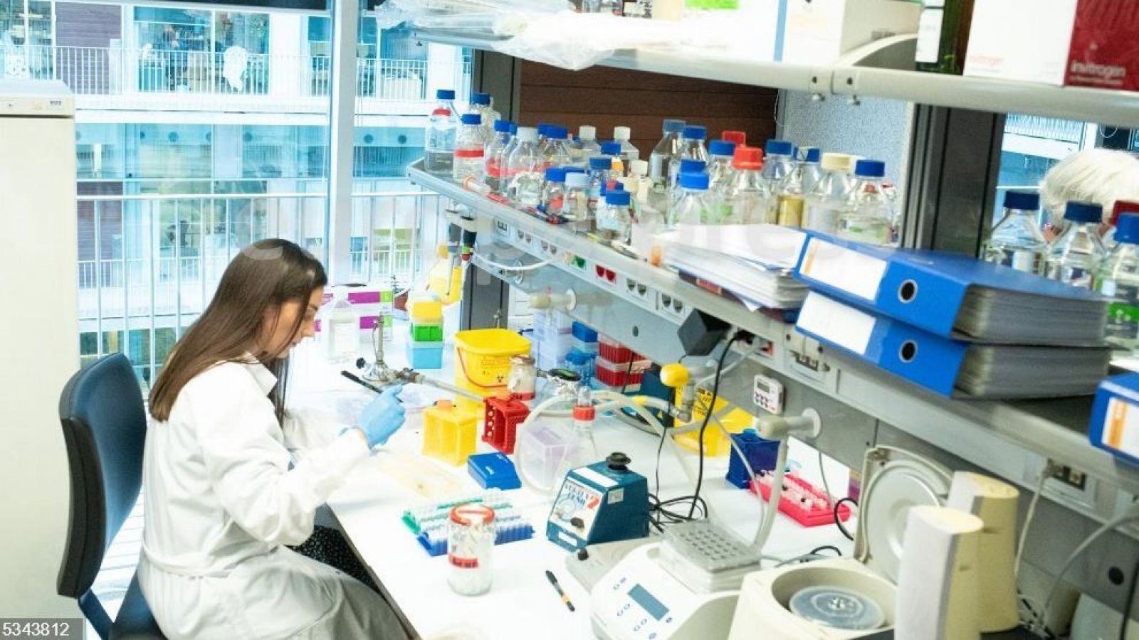 Para todos La 2 - 05/10/24 - ver ahora