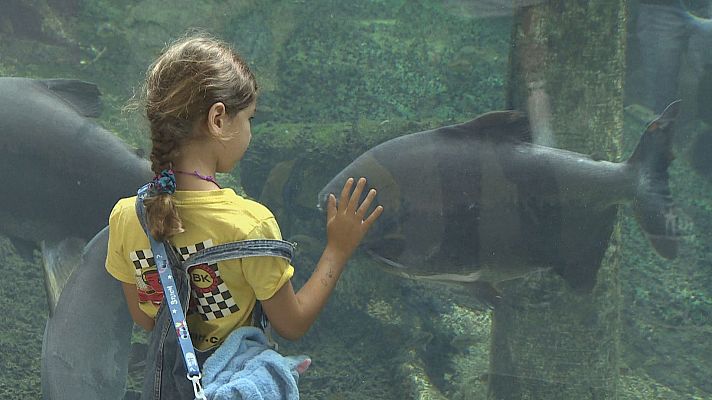 El CosmoCaixa celebra 20 anys amb jornada de portes obertes i activitats especials