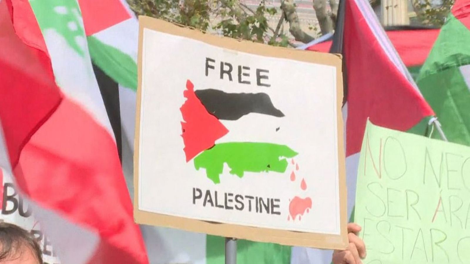 Marxa a Barcelona contra el "genocidi" als territoris palestins i el Líban - L'Informatiu | Veure