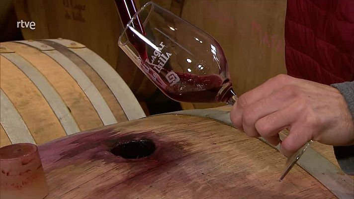 Parlamento - Vitaevino en el Congreso