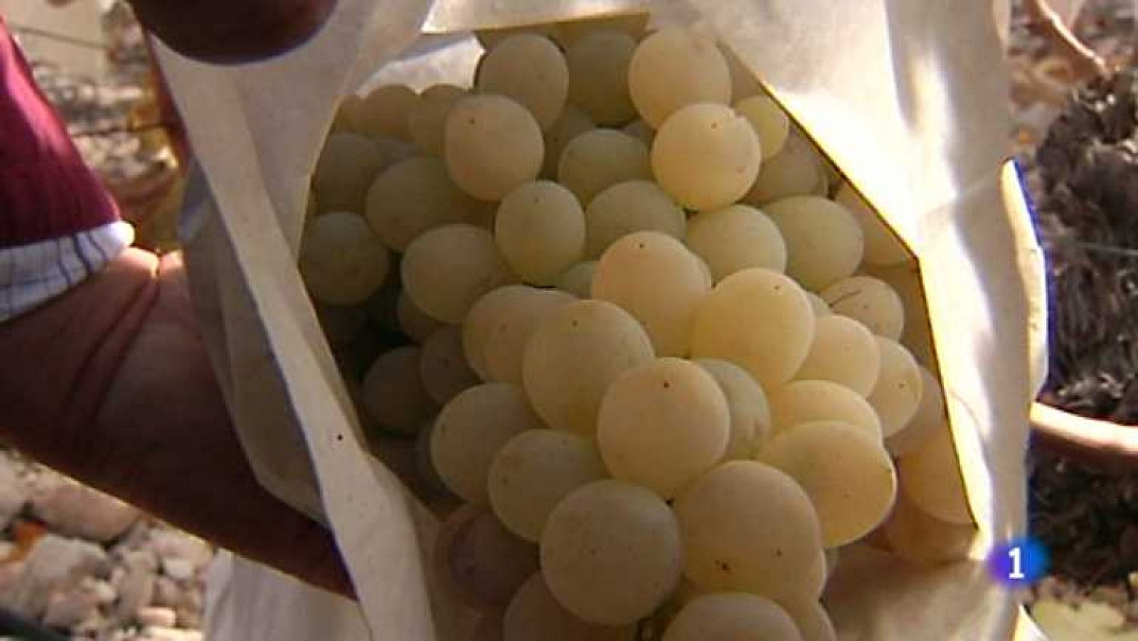 La Comunidad Valenciana en 2' - 28/12/12 - ver ahora