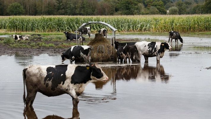 Telediario 2 - Telediario 2 en 4' - 09/10/24