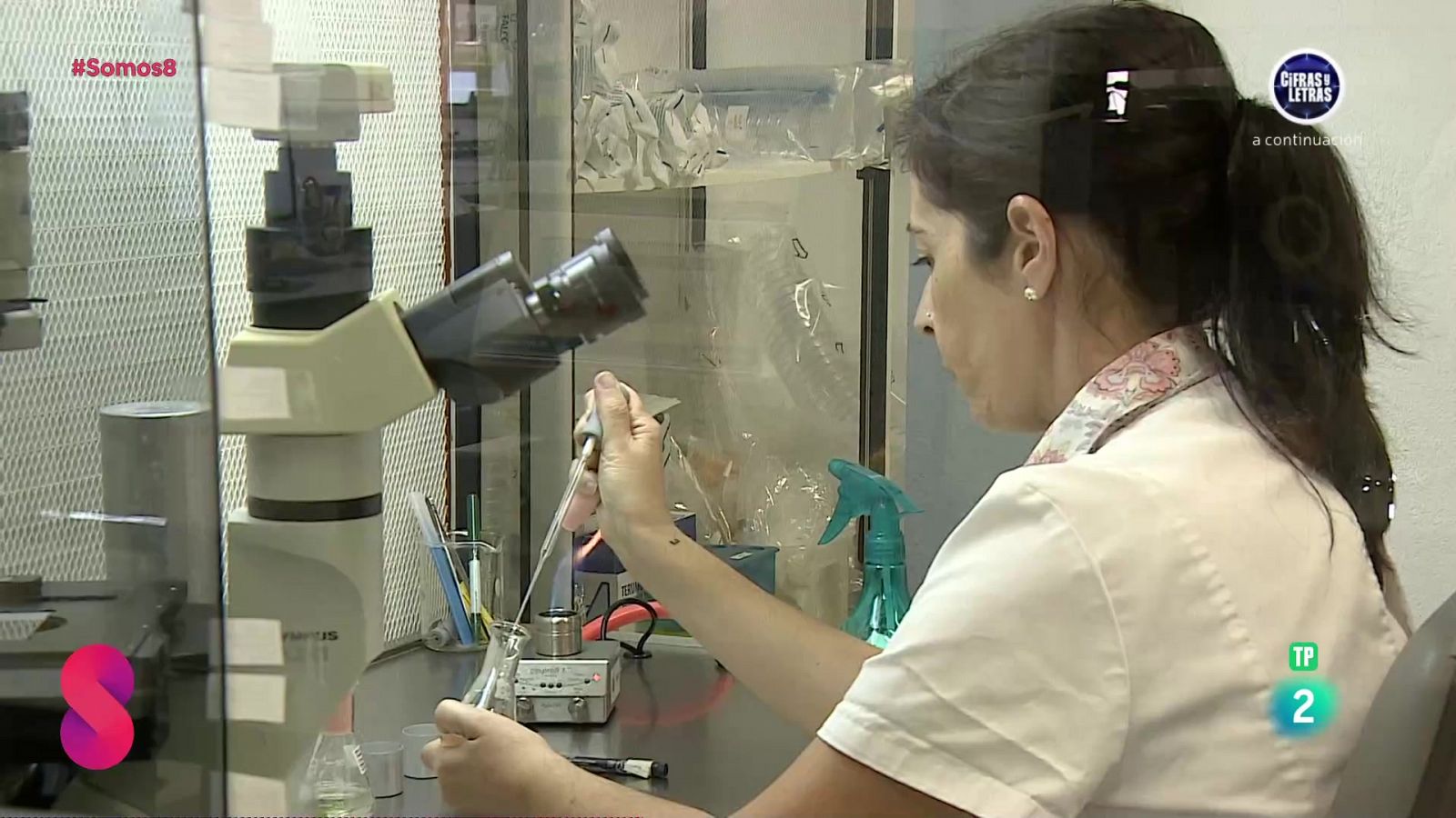 Somos 8 - 09/10/2024 - Somos 8 | Ver