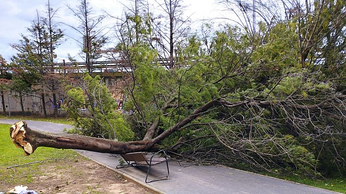 Mañaneros 360 - Programa 266