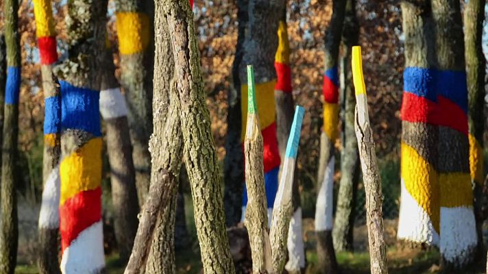 Boek Visual: Felipe Zapico y su proyecto ‘Bosque marcado’