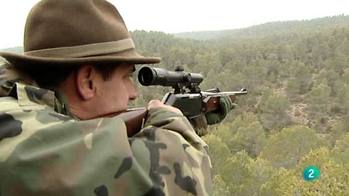 Jara y sedal - La Mancha de Paracuellos de la Vega