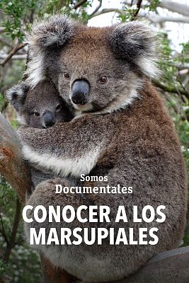 Somos Documentales - Conocer a los marsupiales