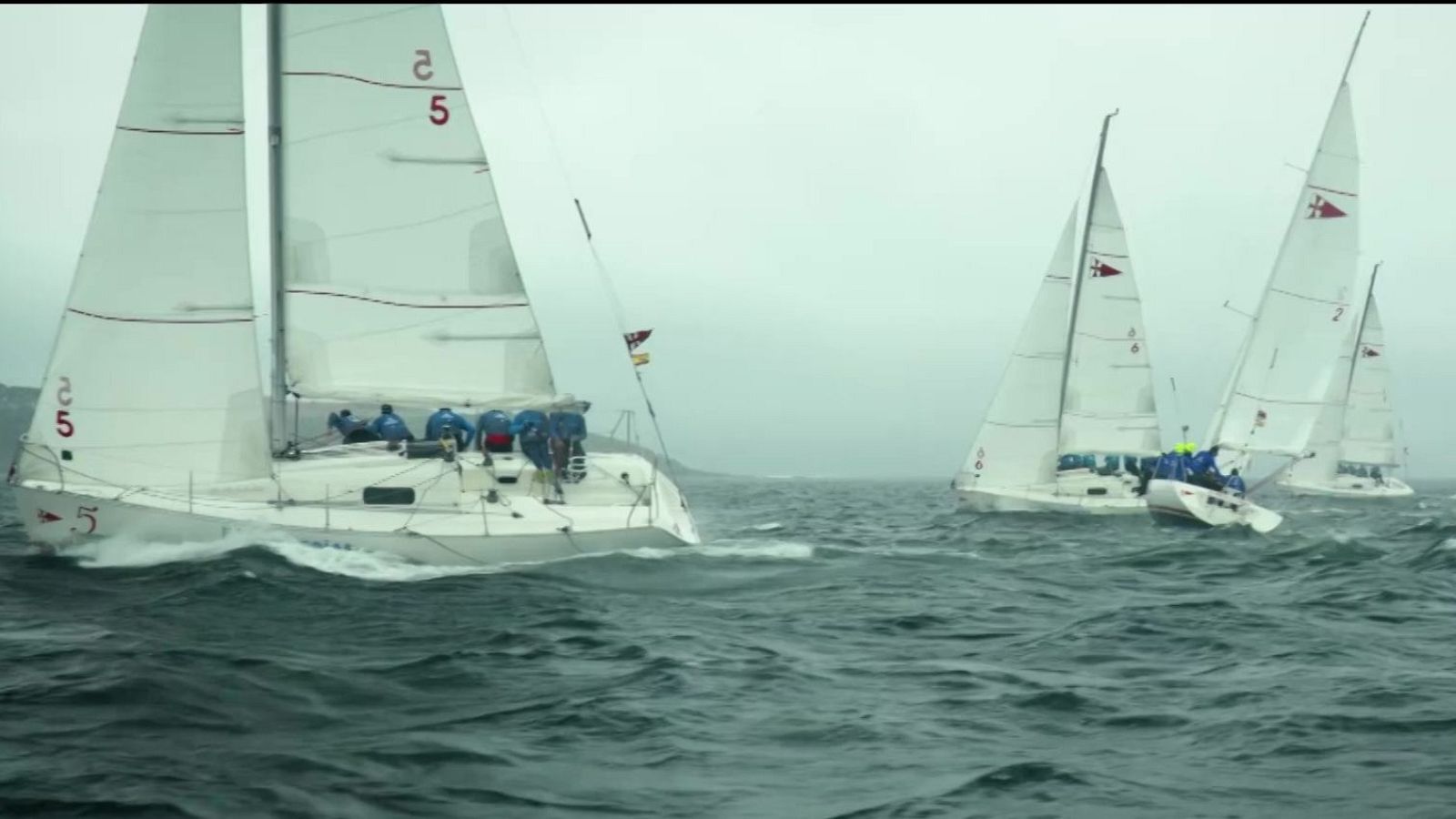 Vela - Copa de España de cruceros - ver ahora