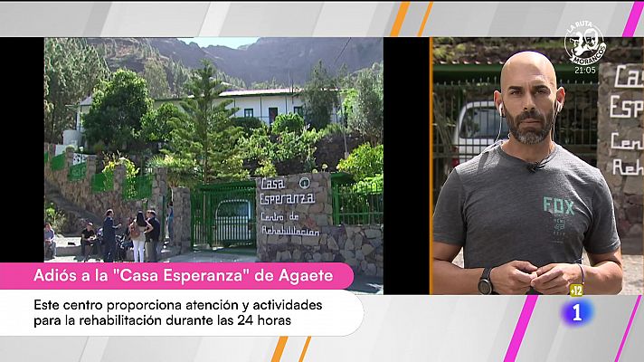 Cerca de ti - Cerca de ti - 11/10/2024