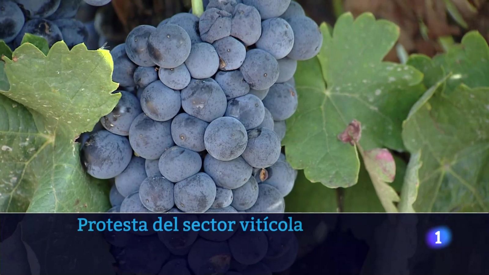 Informativo Telerioja 2 - 11-10-2024 - ver ahora | Ver