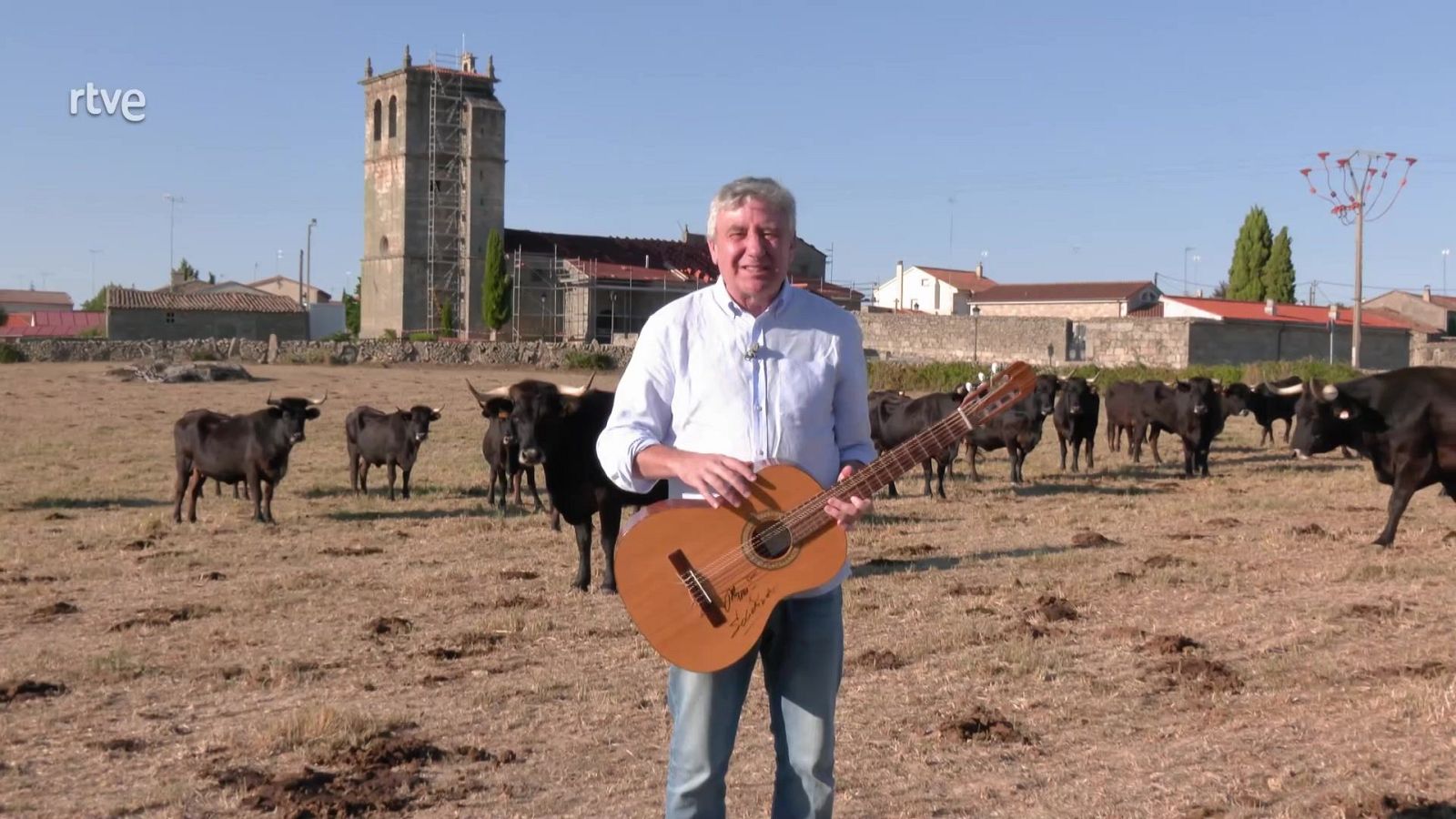 Sayaguesas - Aquí la Tierra | Ver