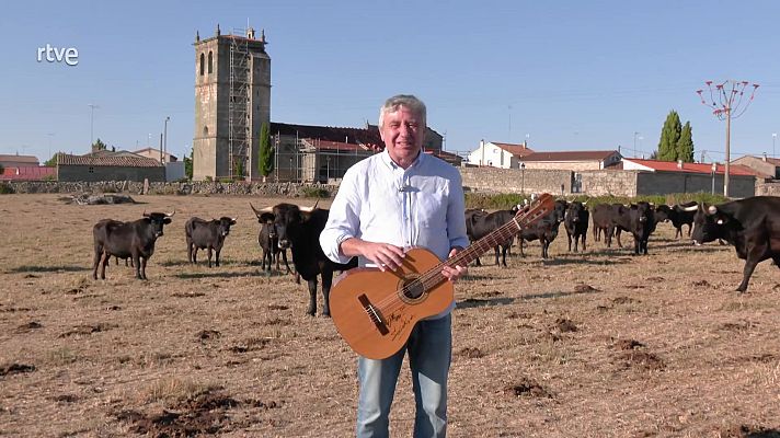 Aquí la Tierra - Sayaguesas