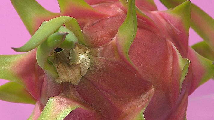 Agrosfera - Agrosfera - 12/10/24