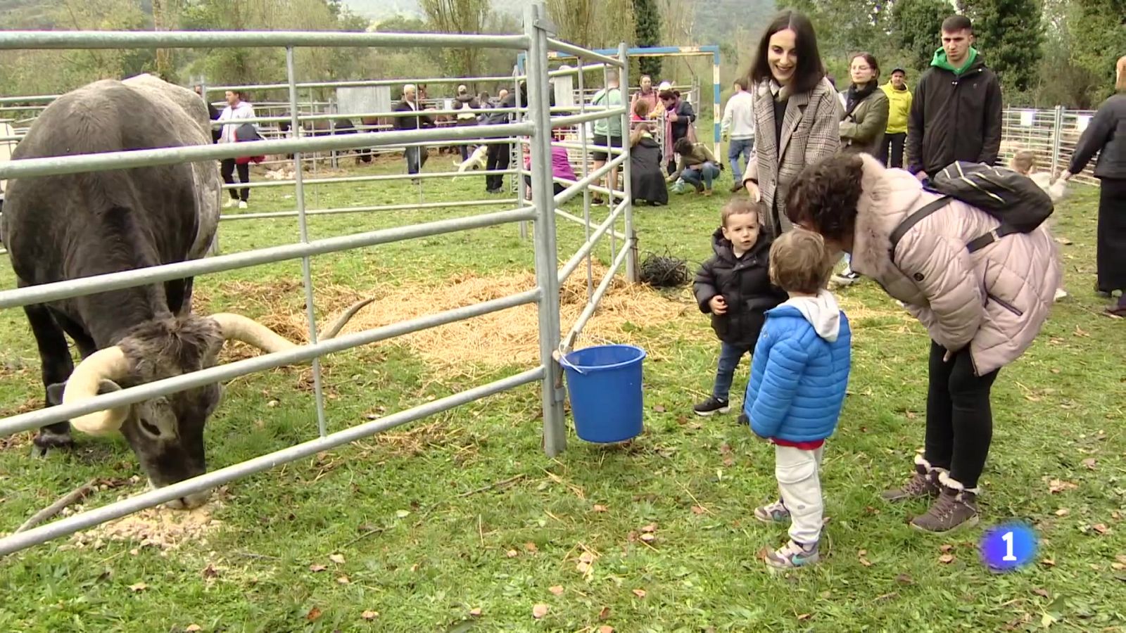 Informativo Telerioja 2 - 14-10-2024 | Ver