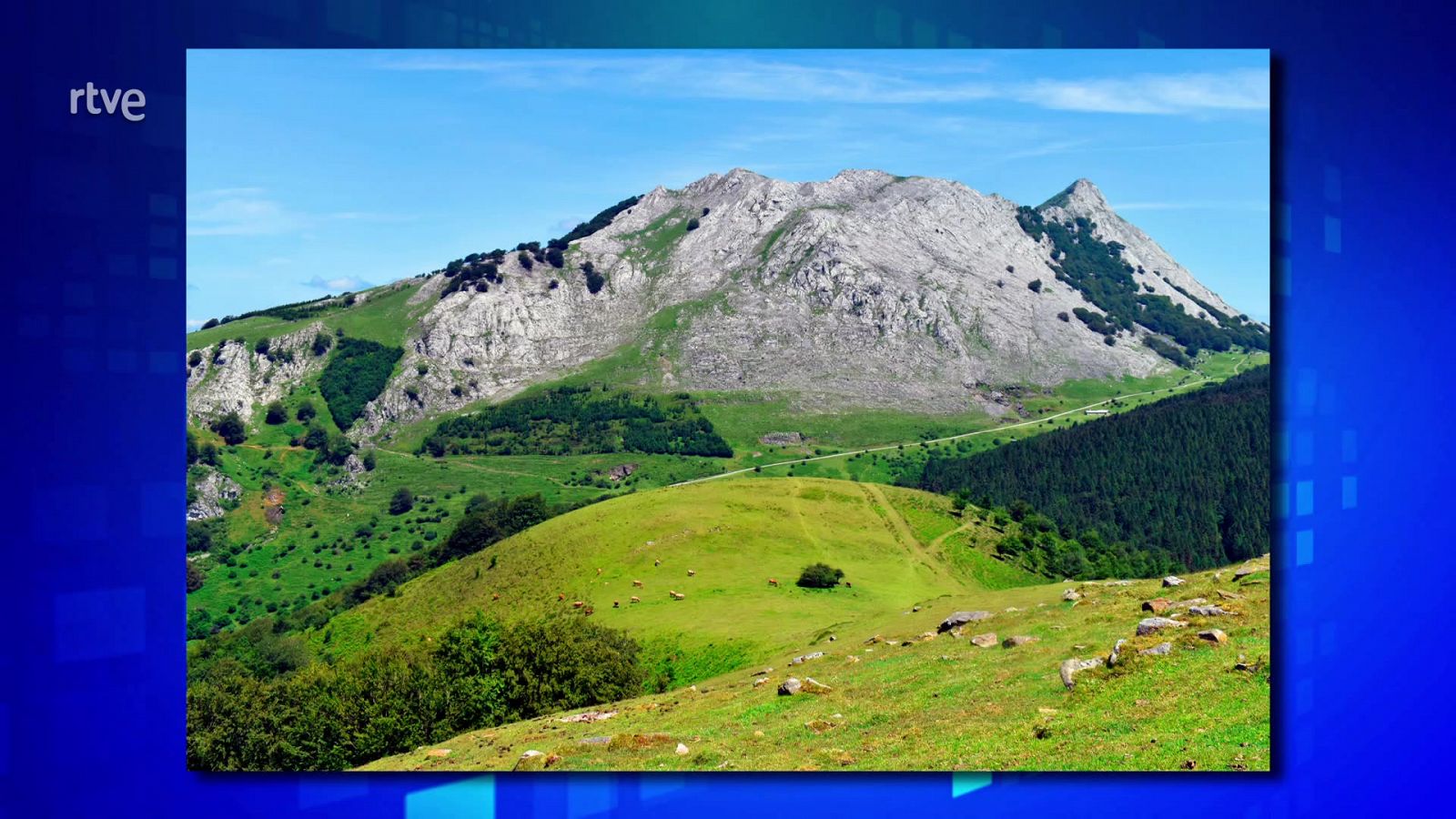 Saber y ganar - 14/10/24 - ver ahora