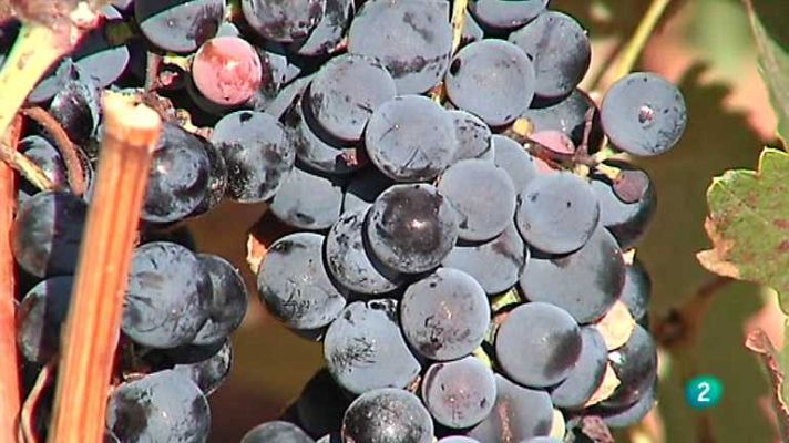 Agrosfera - Agrosfera - 29/12/12