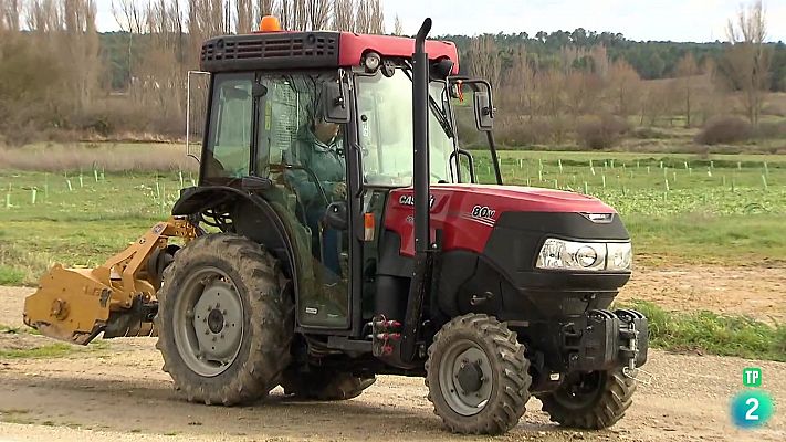 Marta Llorente. De la Urbe al Agro