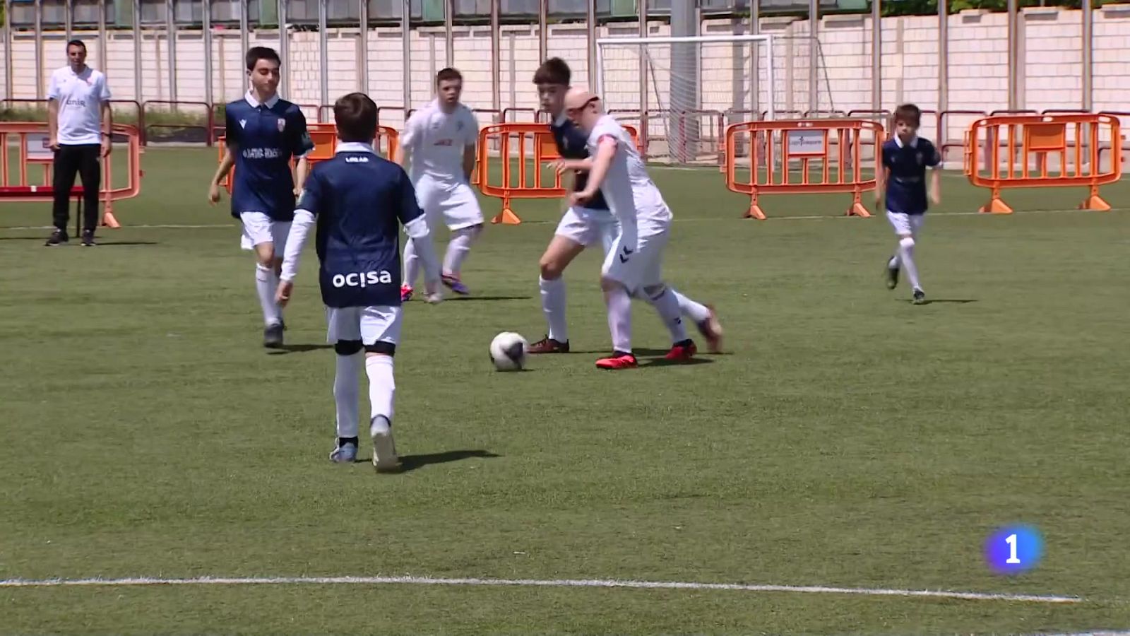 Informativo Telerioja - 15-10-2024 | Ver