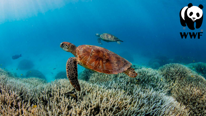 La aventura del Saber - Informe Planeta Vivo WWF