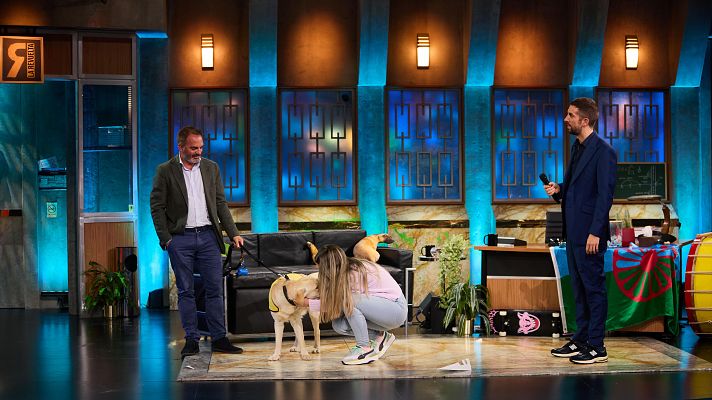 Un perro guía hace feliz a la espectadora de bidé