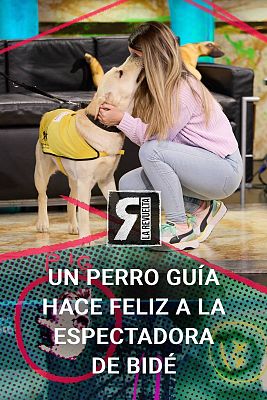 Un perro guía hace feliz a la espectadora de bidé