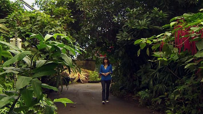 That's English - Intermedio B2.1 - Unit 2B: Wonders of the world