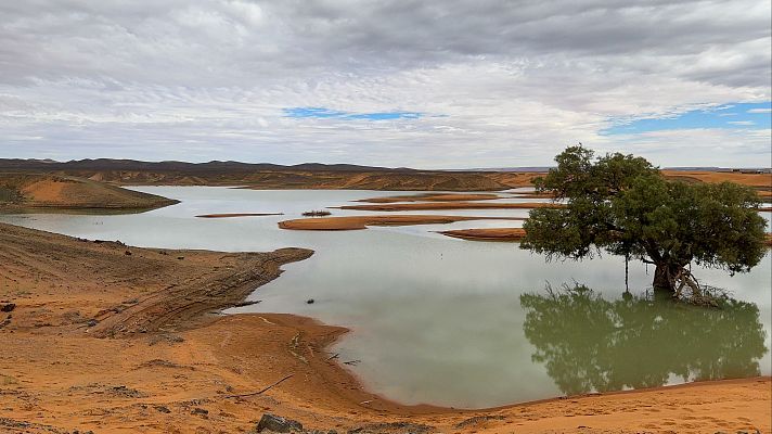 Telediario 1 - No se veía tanta agua desde hace décadas en los lagos del desierto de Sáhara