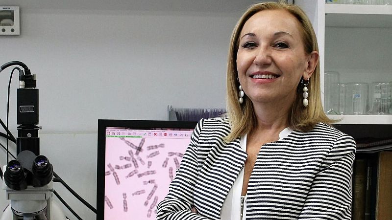 Protagonismo femenino en los Premios Nacionales de Investigación | Ver