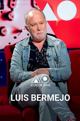 Luis Bermejo