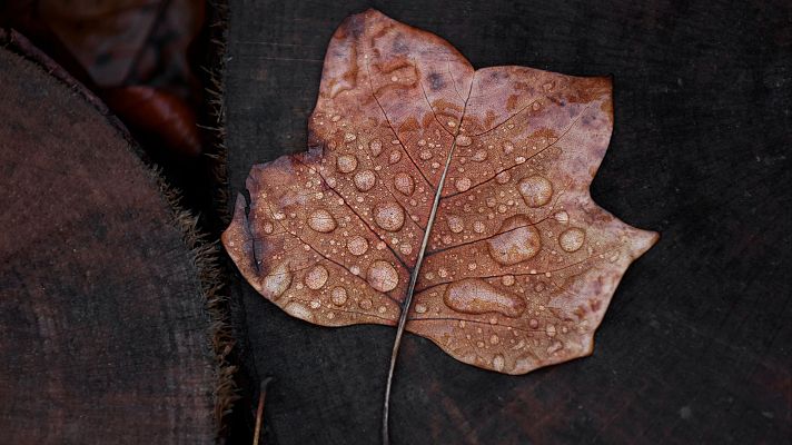 El tiempo - Un anticiclón trae estabilidad al sur, mientras un frente deja lluvias en el noroeste