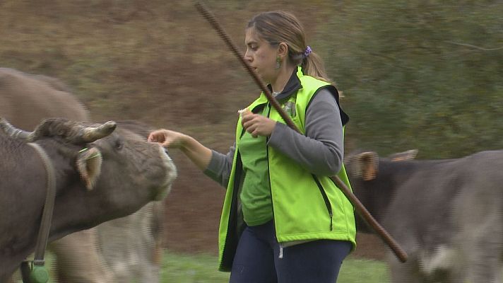 Agrosfera - Agrosfera - 19/10/24