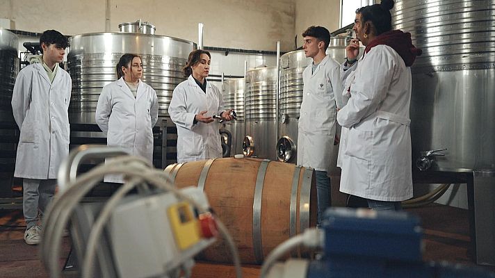 Yo soy de Formación Profesional - Castilla La Mancha