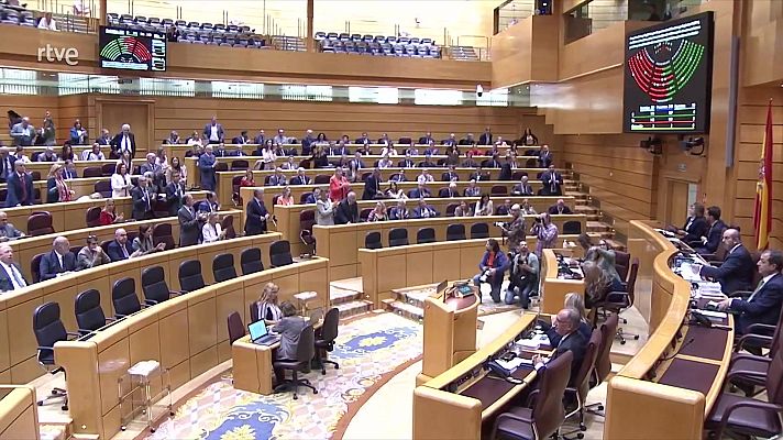 Parlamento - Enmienda del Senado