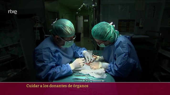 Parlamento - Ley de donantes