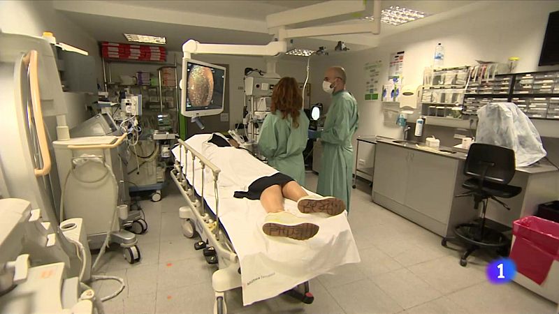Identifiquen un marcador entre la celiaquia i la sensibilitat al gluten no celíaca - L'Informatiu | Ver