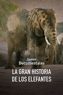 Somos Documentales - La gran historia de los elefantes
