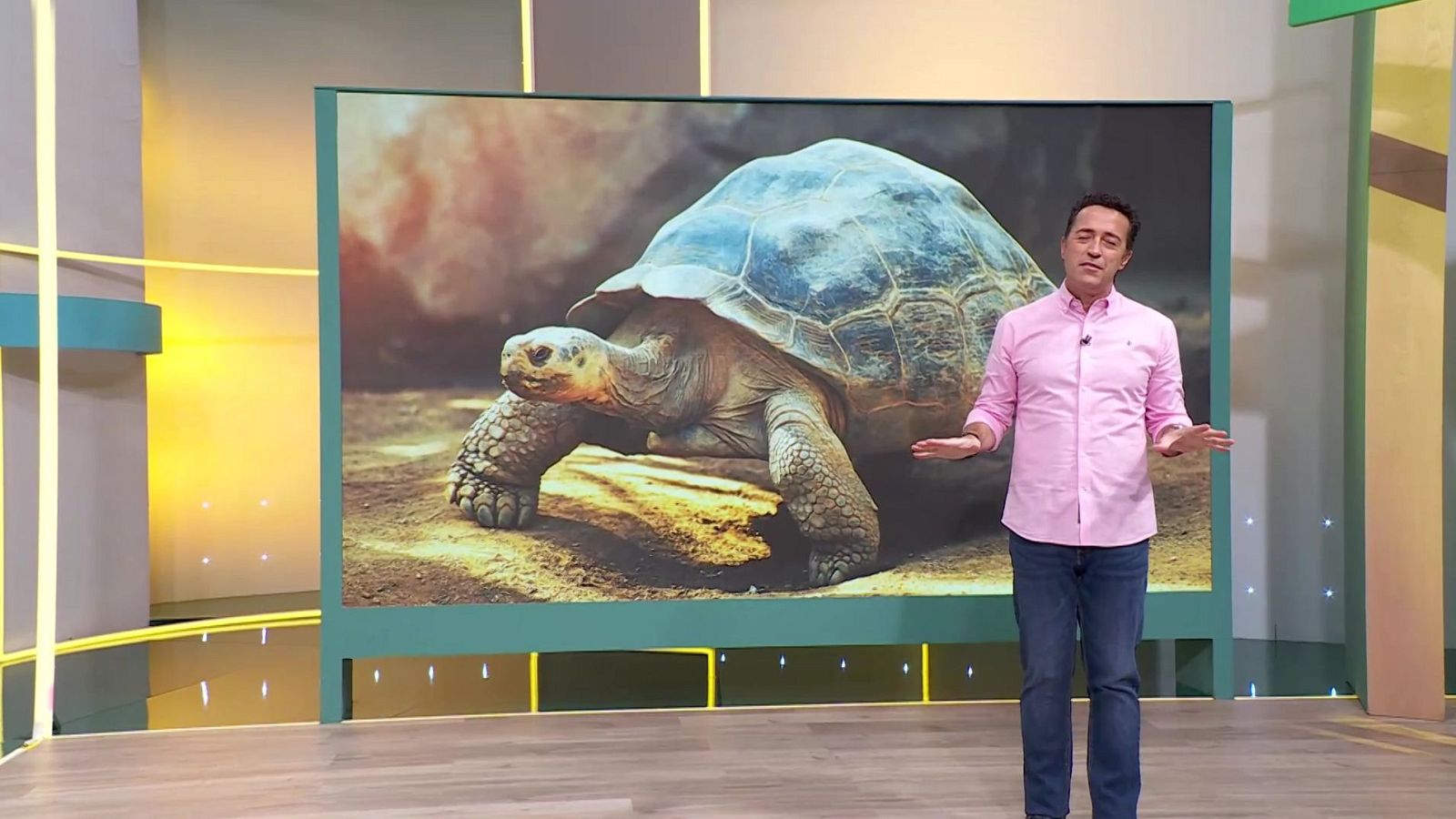 Aquí la Tierra - 21/10/24 - ver ahora