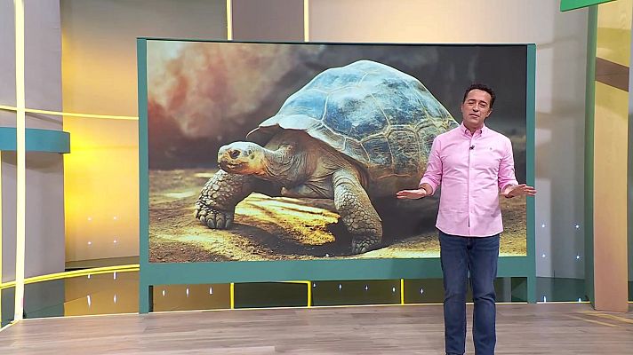 Aquí la Tierra - Aquí la Tierra - 21/10/24