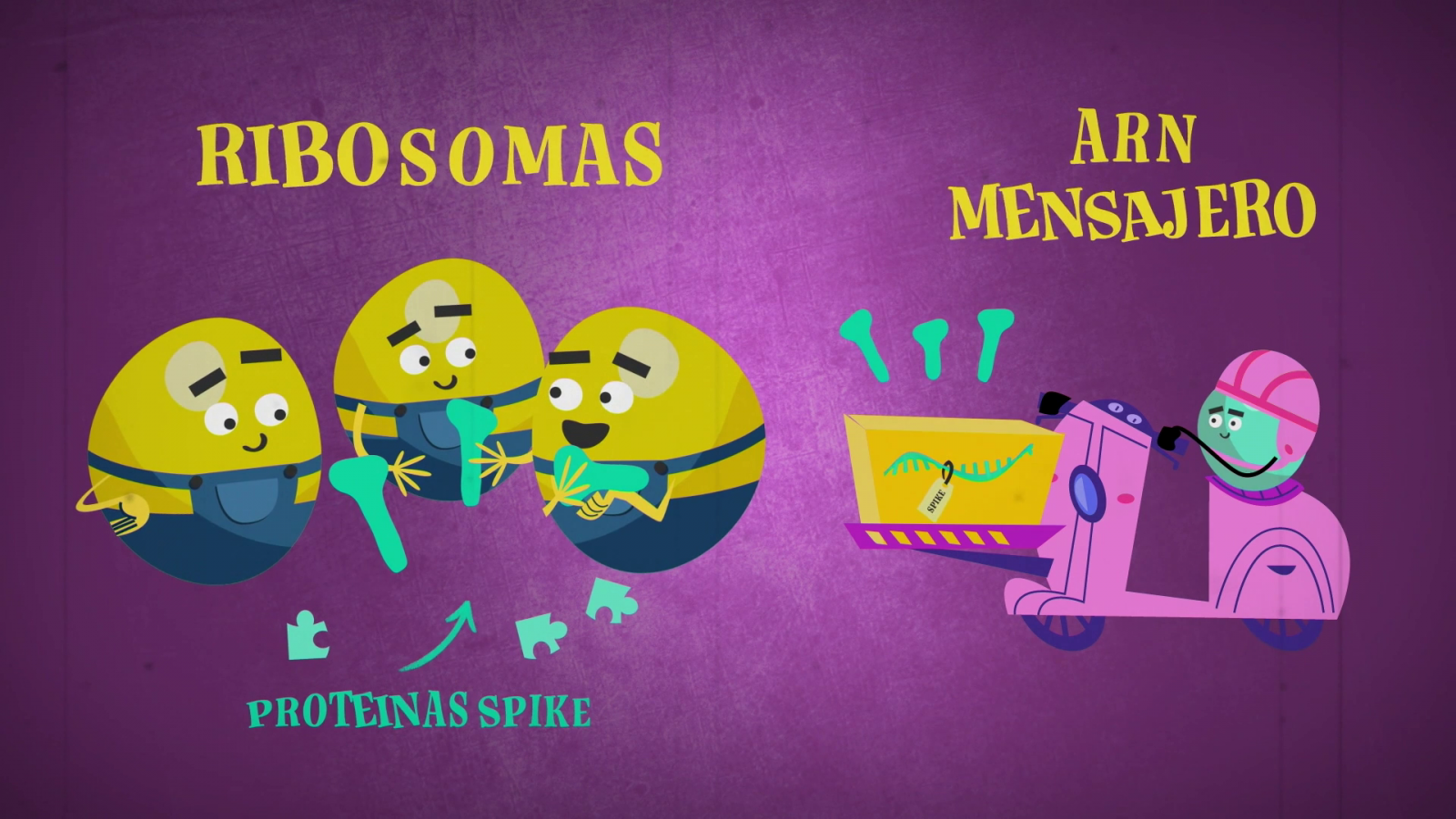 Vacunas ARN Mensajero. Hitos del SXXI - Órbita Laika | Ver