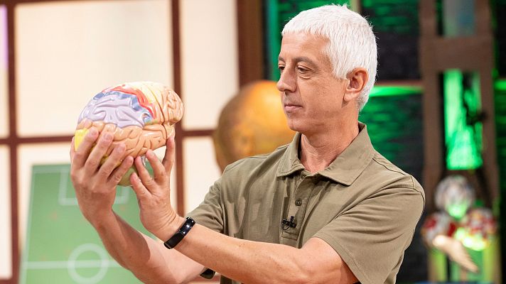 Neurociencia, Xurxo Mariño: El fútbol, un deporte de cabeza