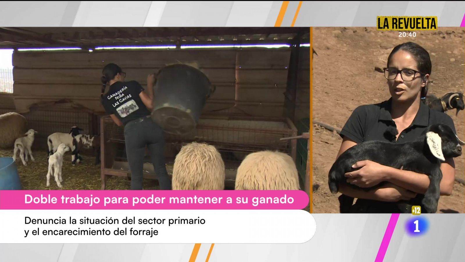 Cerca de ti - 22/10/2024 - Cerca de ti | Ver