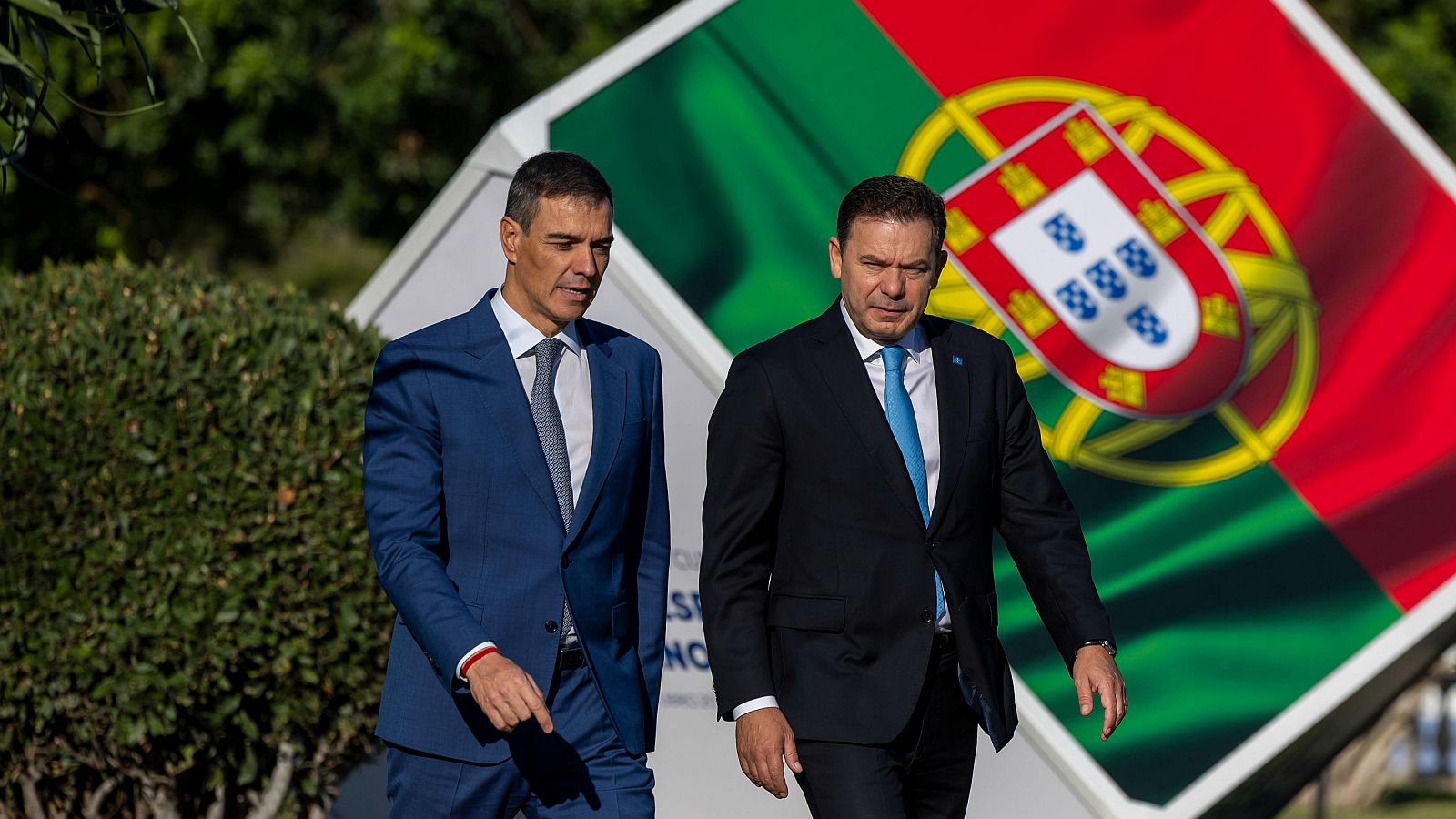 Sánchez defiende el rescate a Air Europa tras ser preguntado sobre si se vio con Aldama - Diario 24 | Ver